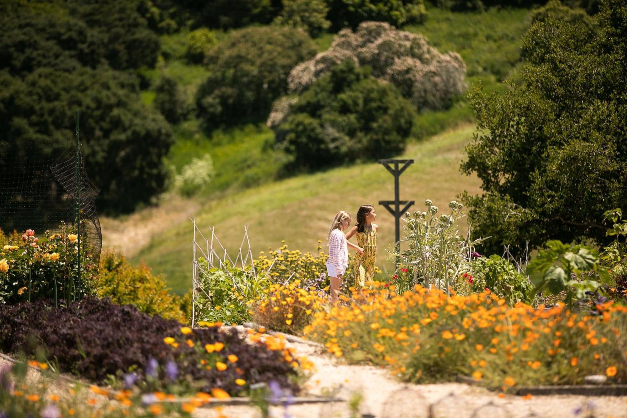 Carmel Valley Ranch, In The Unbound Collection By Hyatt Exterior photo